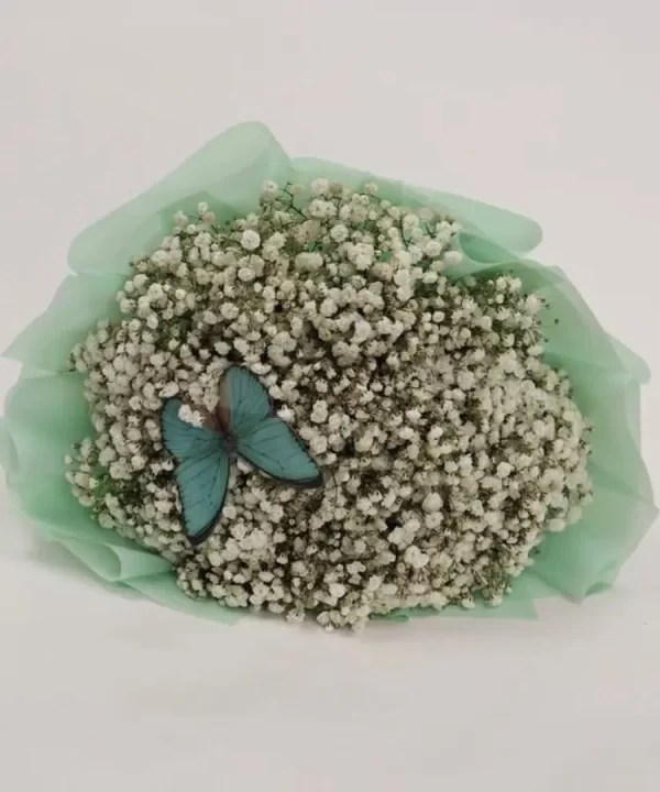 Baby’s Breath Butterfly Bouquet - Image 2